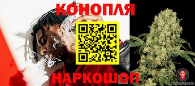 Альфа ПВП Донской