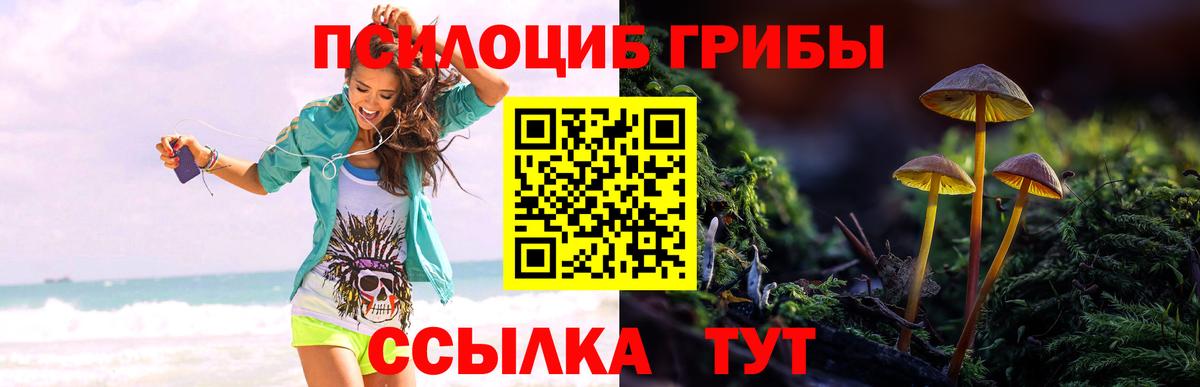 Верхний Уфалей  Галлюциногенные грибы прущие грибы  Вход с VPN 
